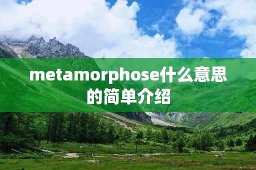 metamorphose什么意思的简单介绍