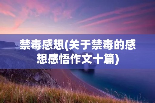 禁毒感想(关于禁毒的感想感悟作文十篇)