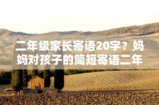二年级家长寄语20字？妈妈对孩子的简短寄语二年级