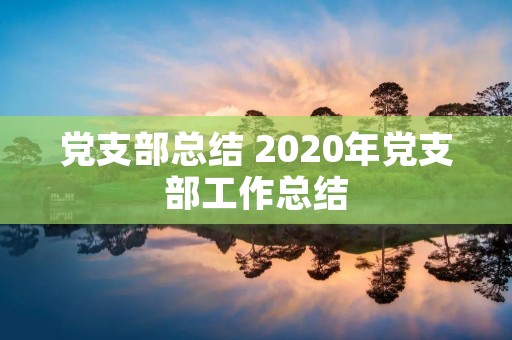 党支部总结 2020年党支部工作总结