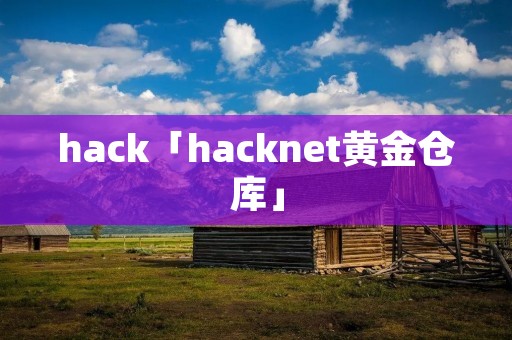 hack「hacknet黄金仓库」