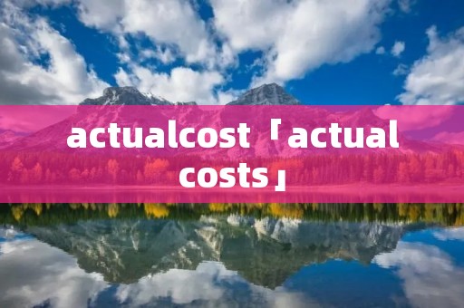 actualcost「actualcosts」