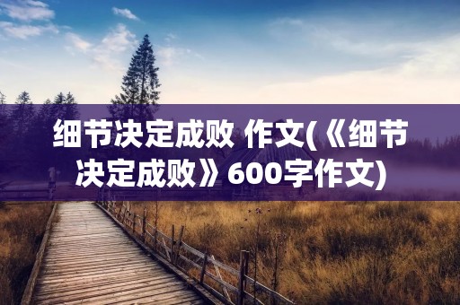细节决定成败 作文(《细节决定成败》600字作文)