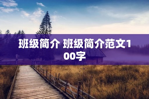 班级简介 班级简介范文100字