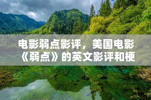 电影弱点影评，美国电影《弱点》的英文影评和梗概