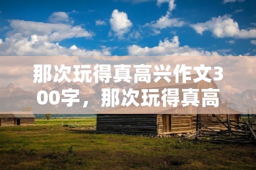 那次玩得真高兴作文300字，那次玩得真高兴满分作文300字10篇