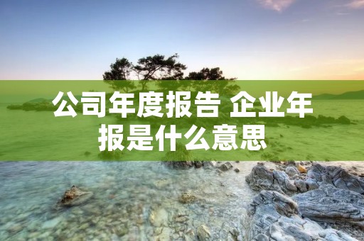 公司年度报告 企业年报是什么意思 公司年度报告 企业年报是什么意思