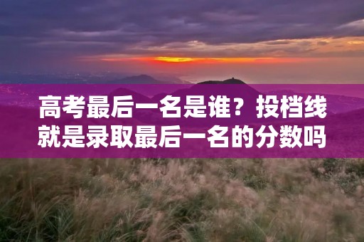 高考最后一名是谁?投档线就是录取最后一名的分数吗