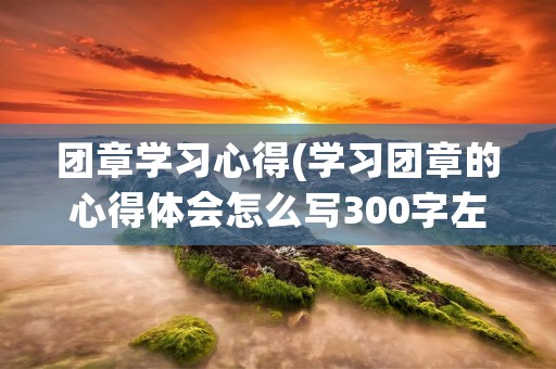 团章学习心得(学习团章的心得体会怎么写300字左右)