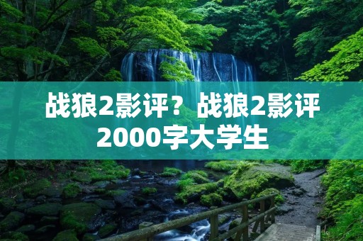 战狼2影评?战狼2影评2000字大学生