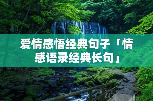 爱情感悟经典句子「情感语录经典长句」