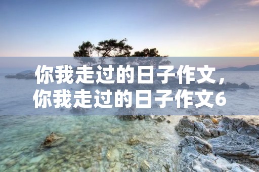 你我走过的日子作文，你我走过的日子作文600字