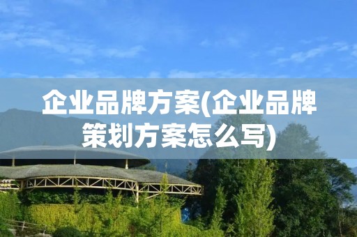 企业品牌方案(企业品牌策划方案怎么写)