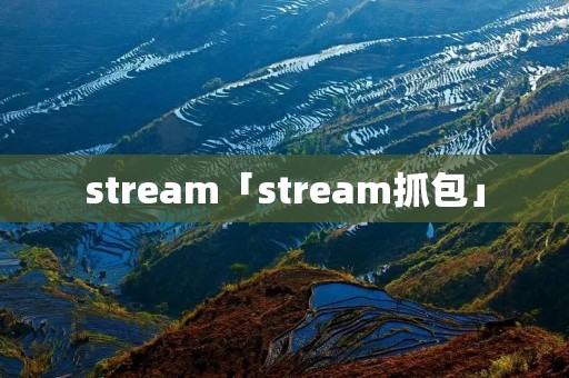 stream「stream抓包」