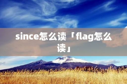 since怎么读「flag怎么读」 since怎么读「flag怎么读」