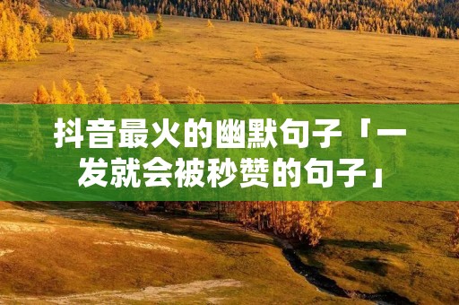 抖音最火的幽默句子「一发就会被秒赞的句子」 抖音最火的幽默句子「一发就会被秒赞的句子」
