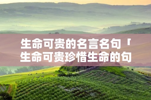 生命可贵的名言名句「生命可贵珍惜生命的句子」