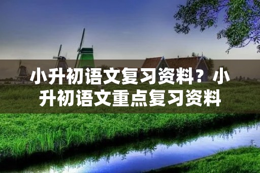 小升初语文复习资料？小升初语文重点复习资料