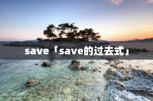 save「save的过去式」