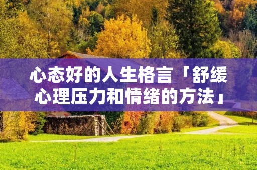 心态好的人生格言「舒缓心理压力和情绪的方法」