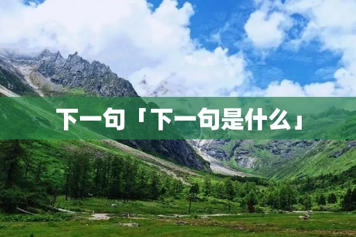 下一句「下一句是什么」