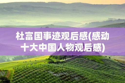 杜富国事迹观后感(感动十大中国人物观后感)