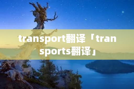 transport翻译「transports翻译」