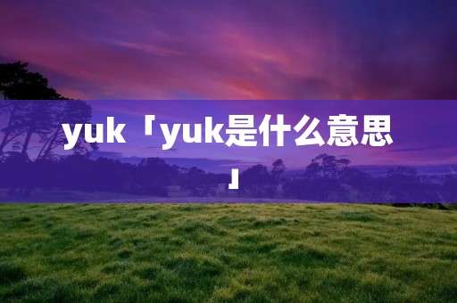 yuk「yuk是什么意思」