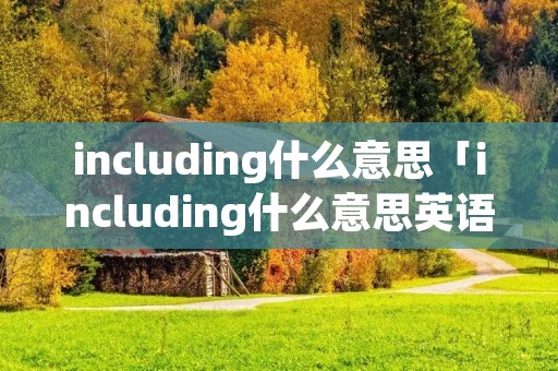including什么意思「including什么意思英语翻译」