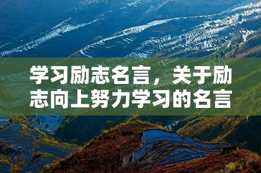 学习励志名言，关于励志向上努力学习的名言有哪些