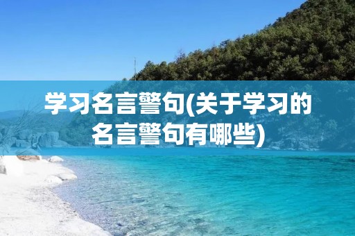 学习名言警句(关于学习的名言警句有哪些)