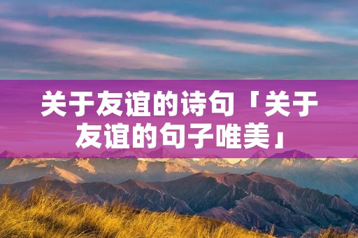 关于友谊的诗句「关于友谊的句子唯美」