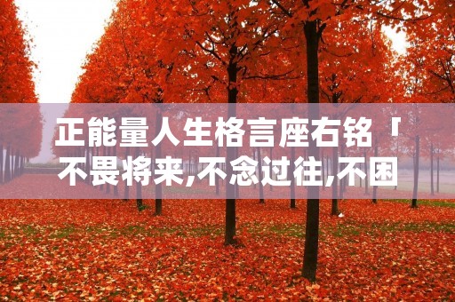 正能量人生格言座右铭「不畏将来,不念过往,不困于情,不乱于心」