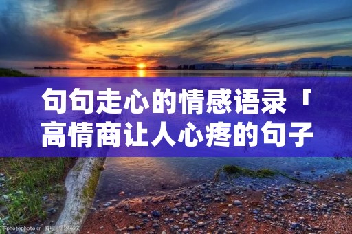 句句走心的情感语录「高情商让人心疼的句子」