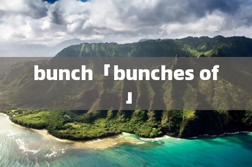 bunch「bunches of」