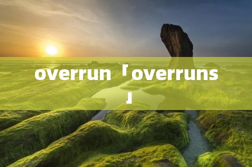 overrun「overruns」