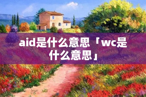 aid是什么意思「wc是什么意思」