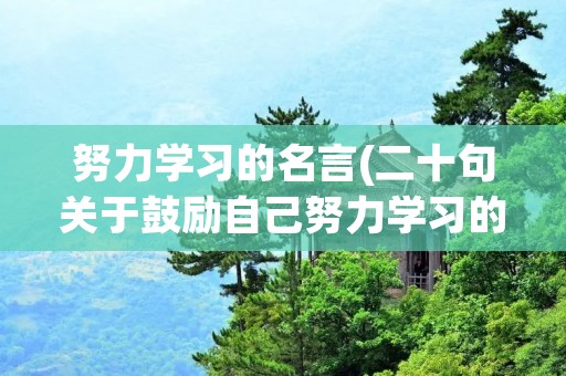 努力学习的名言(二十句关于鼓励自己努力学习的名言警句,5到10字左右)