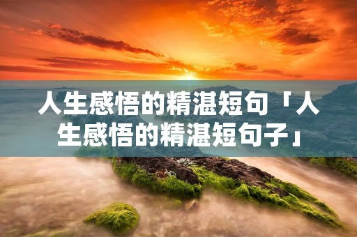 人生感悟的精湛短句「人生感悟的精湛短句子」