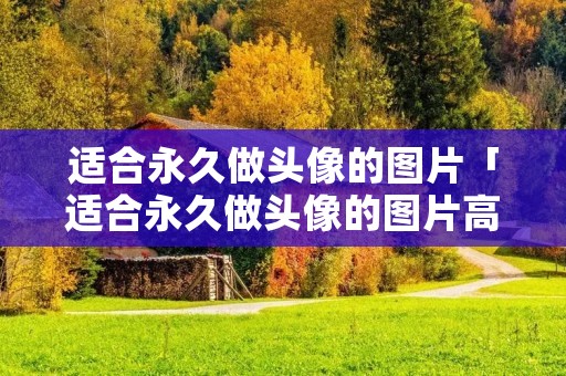 适合永久做头像的图片「适合永久做头像的图片高清」