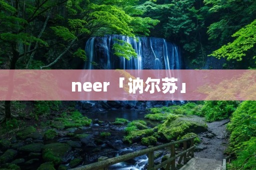 neer「讷尔苏」
