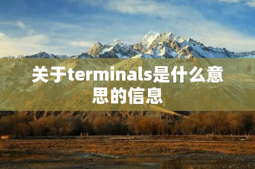 关于terminals是什么意思的信息
