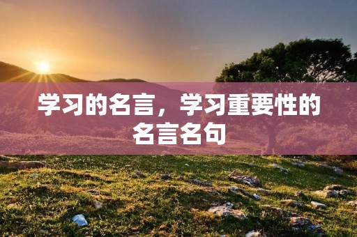 学习的名言，学习重要性的名言名句