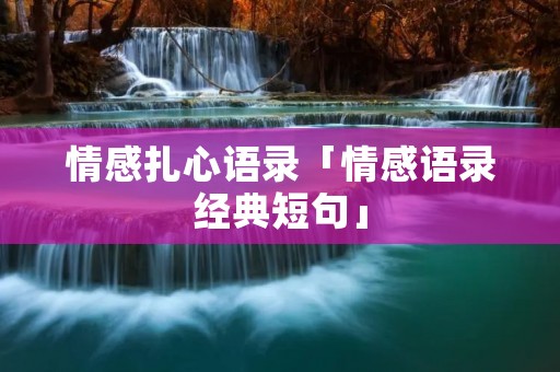 情感扎心语录「情感语录经典短句」