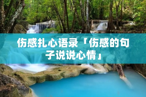 伤感扎心语录「伤感的句子说说心情」