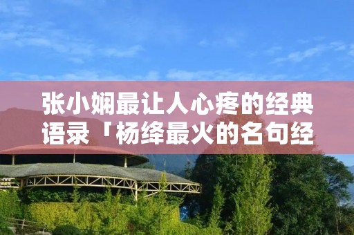 张小娴最让人心疼的经典语录「杨绛最火的名句经典语录」