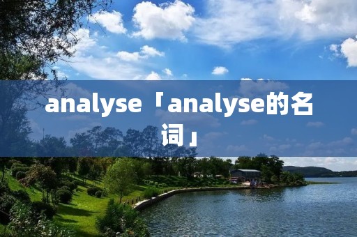 analyse「analyse的名词」