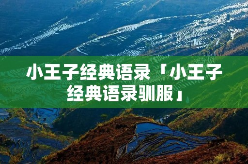 小王子经典语录「小王子经典语录驯服」