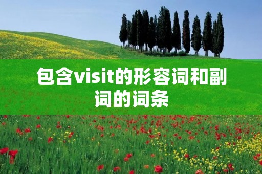 包含visit的形容词和副词的词条