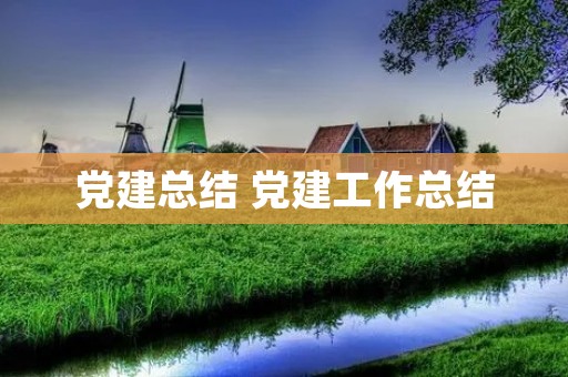 党建总结 党建工作总结